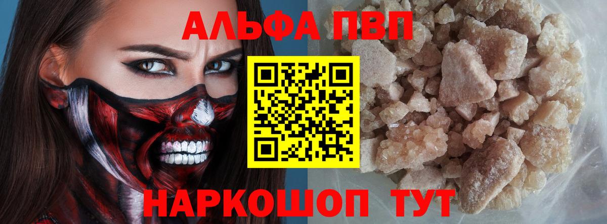 A PVP СК Моздок