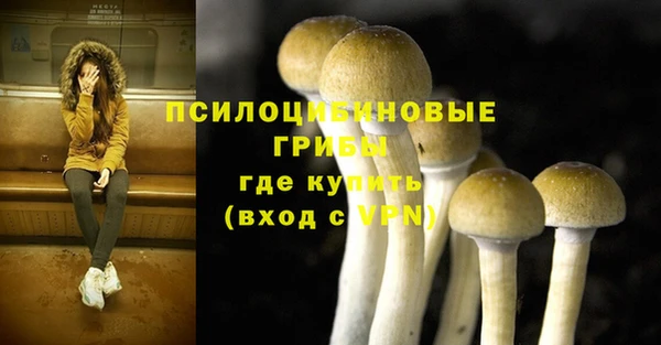 крисы Алзамай