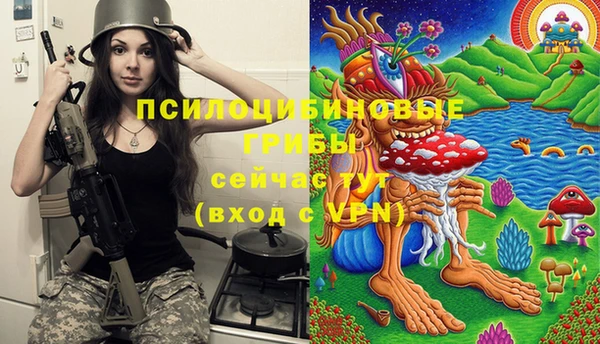 крисы Алзамай