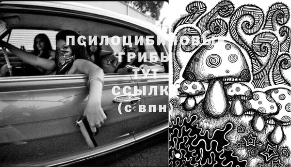 ECSTASY Алексин