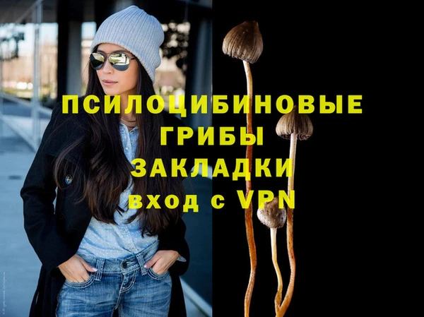 крисы Алзамай