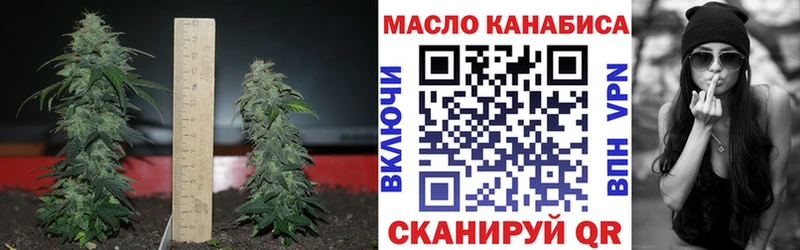 ТГК вейп  где купить наркоту  Моздок 