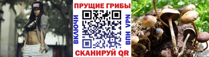 Галлюциногенные грибы ЛСД  сколько стоит  Моздок 